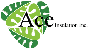 Ace Insulation